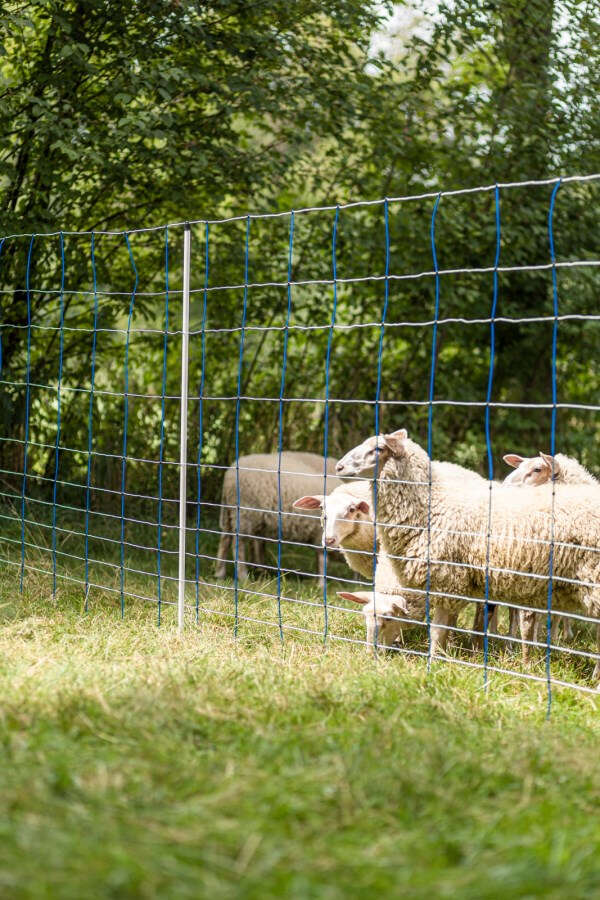 AKO Wildzaun TitanNet 145 cm